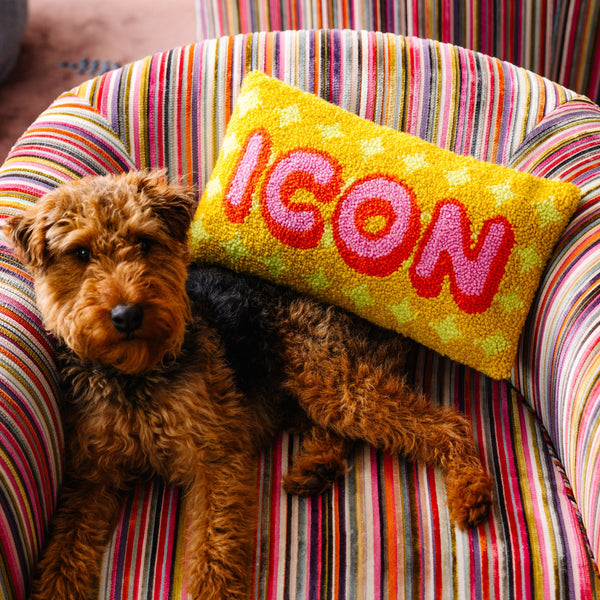 Icon Hooked Throw Pillow