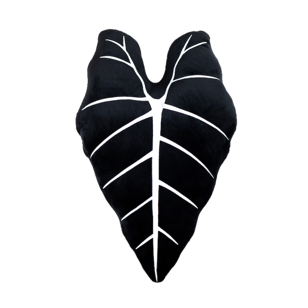 Alocasia Frydek - Obsidian Throw Pillow